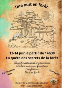 nuit-en-foret 64510 BALIROS