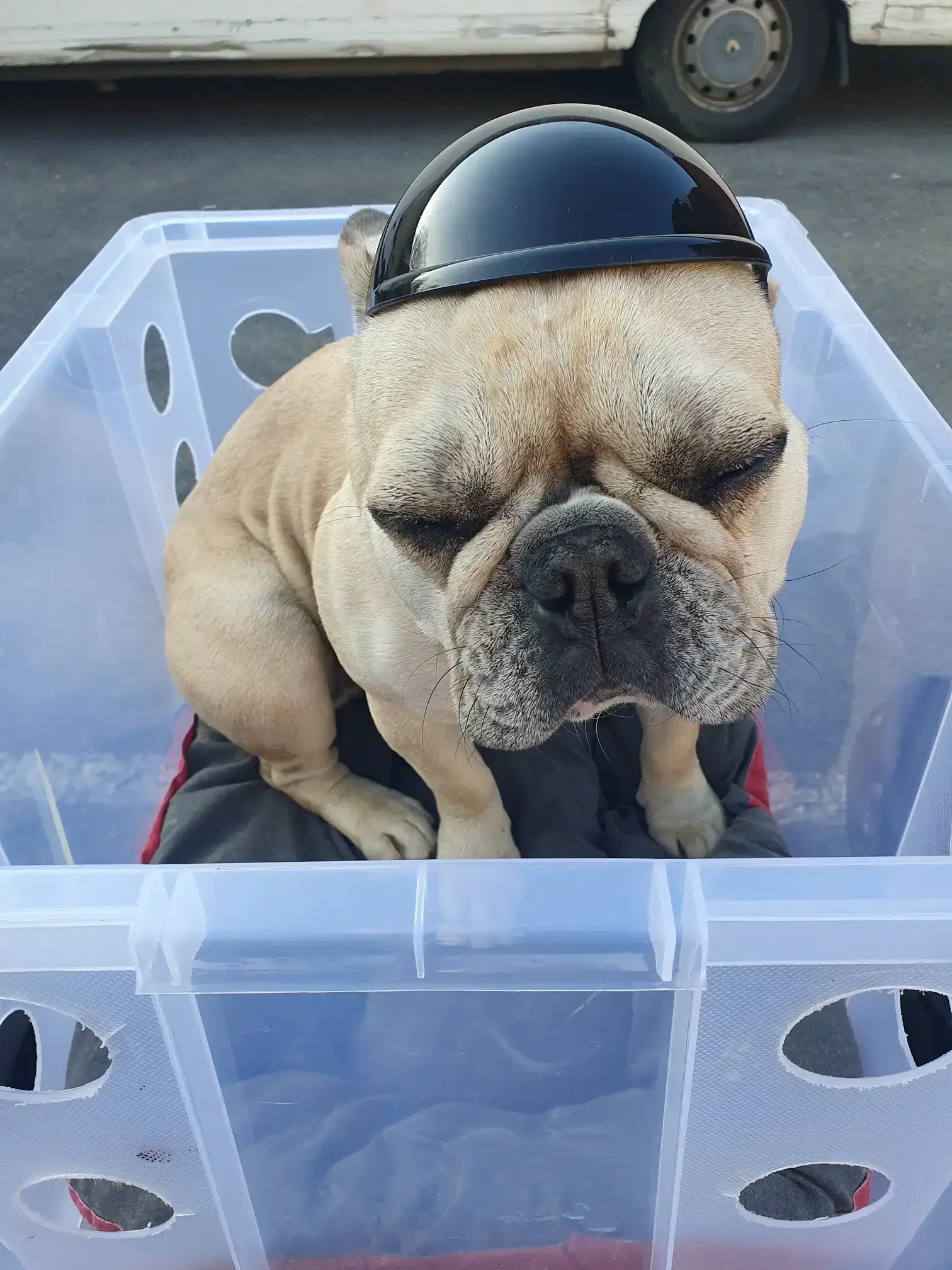 ahmi-boutique-vue-vaisselle